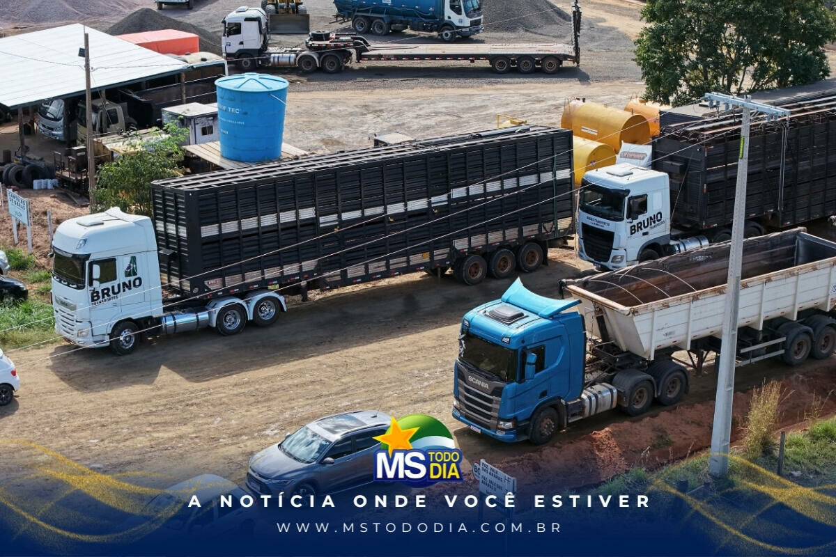 Imagem da Galeria